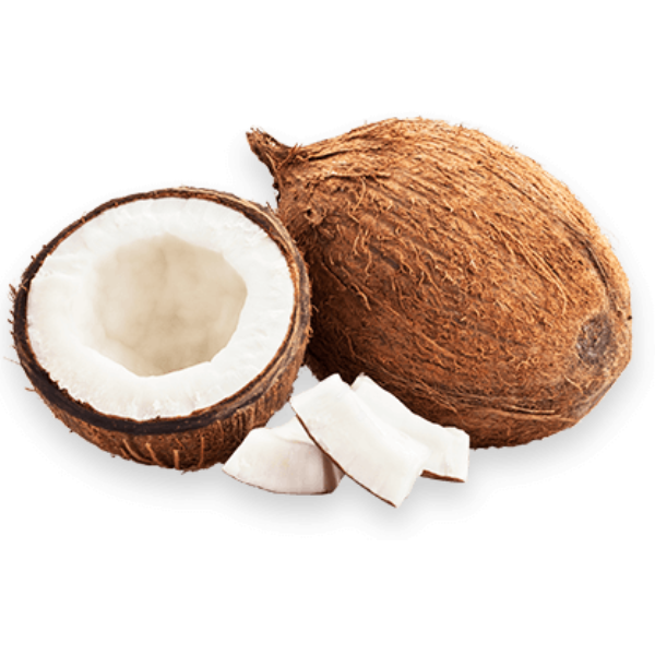 Organic Refined Coconut Oil